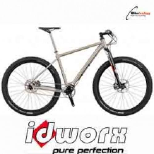 mtb rohloff 29